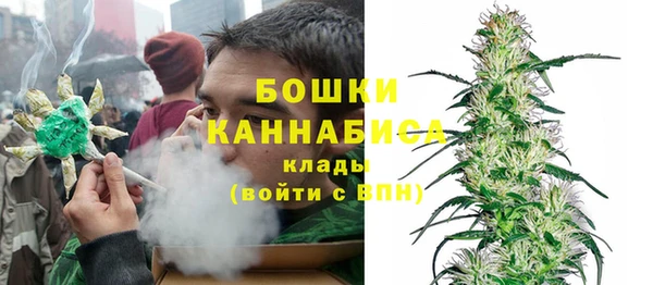 гашик Заводоуковск