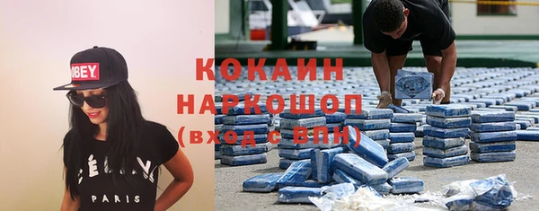 гашик Заводоуковск