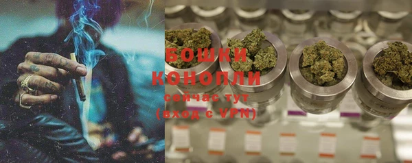 гашик Заводоуковск