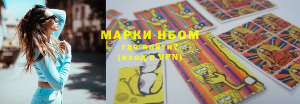 гашик Заводоуковск