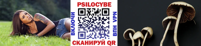 Псилоцибиновые грибы мицелий  Купить где  Малая Вишера 