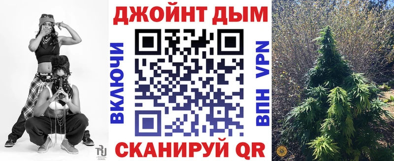 Купить  Малая Вишера  Каннабис план 